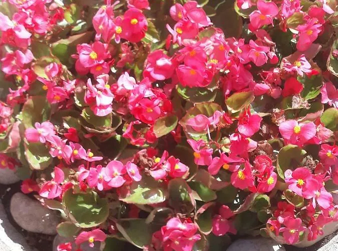 Maison d'hôtes Venice Park House Marghera